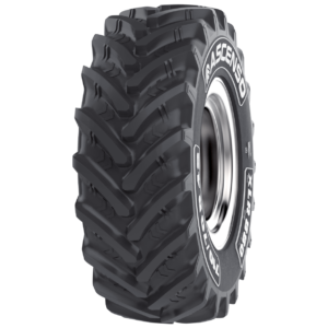 ASCENSO XLR 880 15 VIEW.png